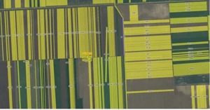 Teren extravilan Putineiu, ID: R2718957 - imagine 2