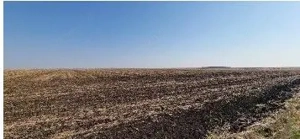 Teren extravilan Putineiu, ID: R2718957 - imagine 6