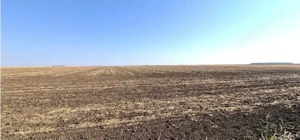 Teren extravilan Putineiu, ID: R2718957 - imagine 5