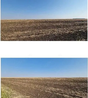 Teren extravilan Putineiu, ID: R2718957 - imagine 7