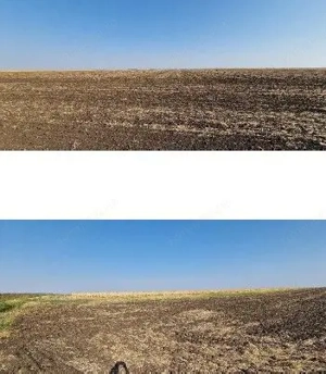 Teren extravilan Putineiu, ID: R2718957 - imagine 8