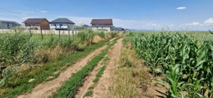 Vand teren extravilan+intravilan in Cartier Izvor Tarlungeni - imagine 2