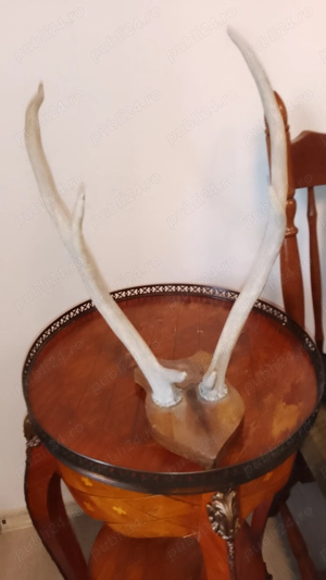 Decoratiune coarne cerb vintage