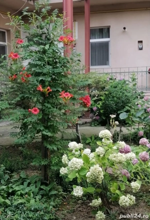 Cladire istorica, langa Colegiul Bănățean.  - imagine 16