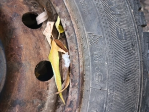 Cauciucuri iarna și genti la 50 lei bucata  - imagine 5