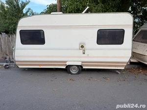 Rulota Dethlefs inmatriculata  - imagine 4