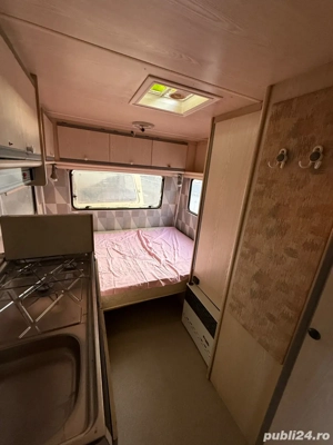 Rulota Dethlefs inmatriculata  - imagine 5