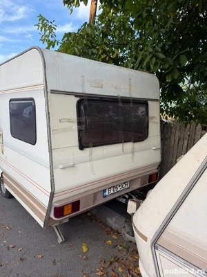 Rulota Dethlefs inmatriculata  - imagine 2