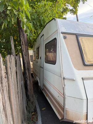 Rulota Dethlefs inmatriculata  - imagine 3