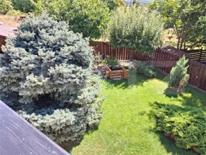 Proprietate deosebita cu suprafata de 240 mp utili si 825 mp curte - imagine 14