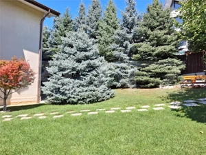 Proprietate deosebita cu suprafata de 240 mp utili si 825 mp curte - imagine 5