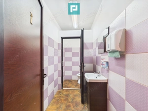 Casă și clădire de apartamente la Orțișoara - imagine 19