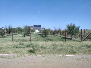 Teren intravilan 733 mp Ulmi, strada asfaltata, 22m deschidere - imagine 2