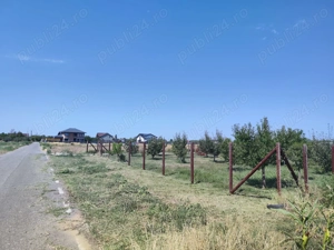 Teren intravilan 733 mp Ulmi, strada asfaltata, 22m deschidere - imagine 7