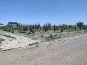 Teren intravilan 733 mp Ulmi, strada asfaltata, 22m deschidere - imagine 8