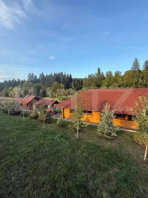 Cabana din lemn rotund, 2 camere, 140 mp, teren 2800 mp, Paltinoasa - imagine 9