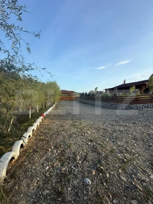 Cabana din lemn rotund, 2 camere, 140 mp, teren 2800 mp, Paltinoasa - imagine 11