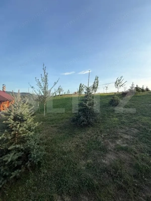 Cabana din lemn rotund, 2 camere, 140 mp, teren 2800 mp, Paltinoasa - imagine 15