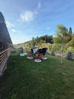 Cabana din lemn rotund, 2 camere, 140 mp, teren 2800 mp, Paltinoasa - imagine 18