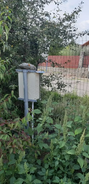 Teren intravilan Valea Uleiului 2400 mp