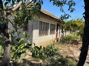 Casă de vânzare, Com. Măgura, Jud. Teleorman, la 11 km de Alexandria - imagine 4