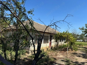 Casă de vânzare, Com. Măgura, Jud. Teleorman, la 11 km de Alexandria - imagine 8