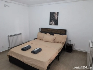 cazare in regim hotelier .Casa Cojocaru. - imagine 3 cazare in regim hotelier .Casa Cojocaru. - imagine 3