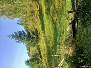 vand teren  - imagine 4