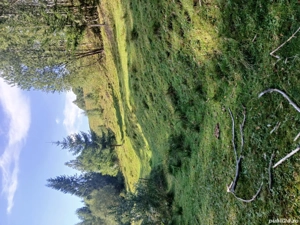 vand teren  - imagine 6