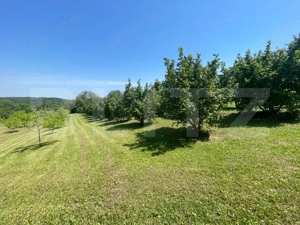 Glamping, piscicultură și turism spiritual - totul într-un singur loc - imagine 19