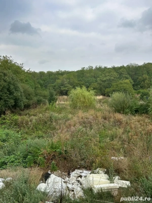 Casă P+1 de vânzare   Ciocănești, sat Decindea, jud. Dâmbovița - imagine 4