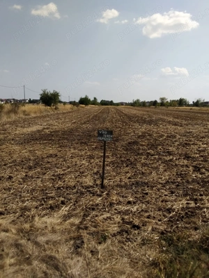 Vanzare teren intravilan