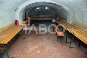 Casa de inchiriat pretabila restaurant curte proprie Cristian Sibiu - imagine 8