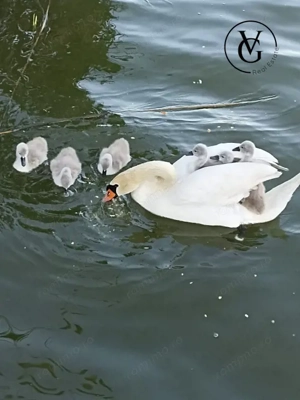 Vila  - Mamaia Sat - pe malul lacului - imagine 7