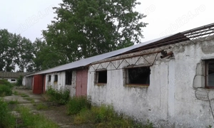 DE VANZARE hala de 1253 mp si teren de 3500 mp - imagine 4