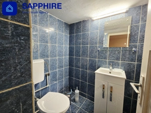 Casă zona Antiaeriană - Mărgeanului, centrală proprie, garaj, curte - imagine 14