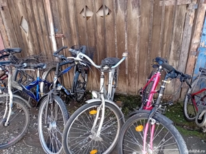 vad biciclete dam si barbati