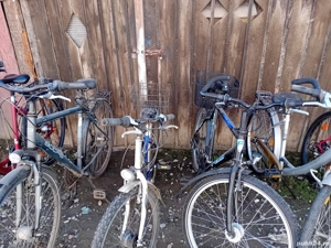 vad biciclete dam si barbati - imagine 2