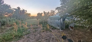 Casă spațioasă cu teren generos în Deta - imagine 3