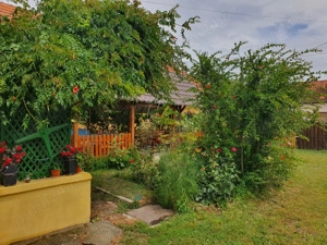 Casă spațioasă cu teren generos în Deta - imagine 2