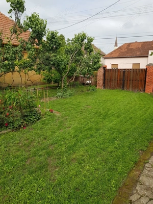 Casă spațioasă cu teren generos în Deta - imagine 6