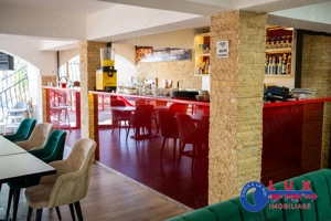 ID 127 EXCLUSIVITATE   Pensiunea Lebăda, Mineri - Tulcea - imagine 6