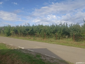 teren de vânzare cu un atelier  - imagine 6