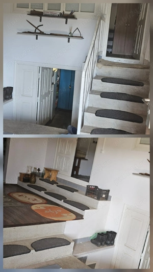 Casa 3 camere, bucatarie, baie, beci si teren 4600 mp, panouri solare, Mastacani - imagine 5