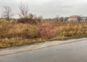 Teren Soseaua Alexandriei- Pasarela Bragadiru. - imagine 3