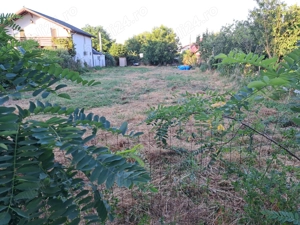 Teren Copaceni Ilfov