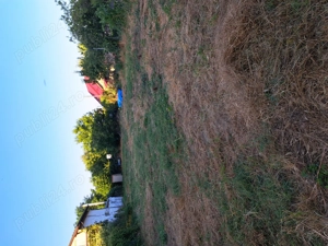 Teren Copaceni Ilfov - imagine 2