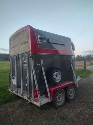 Vand remorca transport cai . - imagine 5