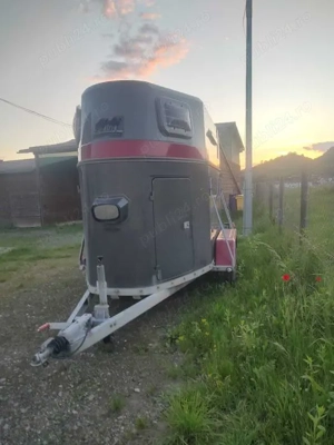 Vand remorca transport cai . - imagine 3