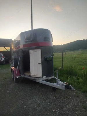 Vand remorca transport cai . - imagine 2